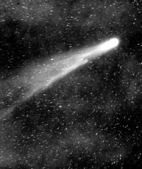 Halley's Comet