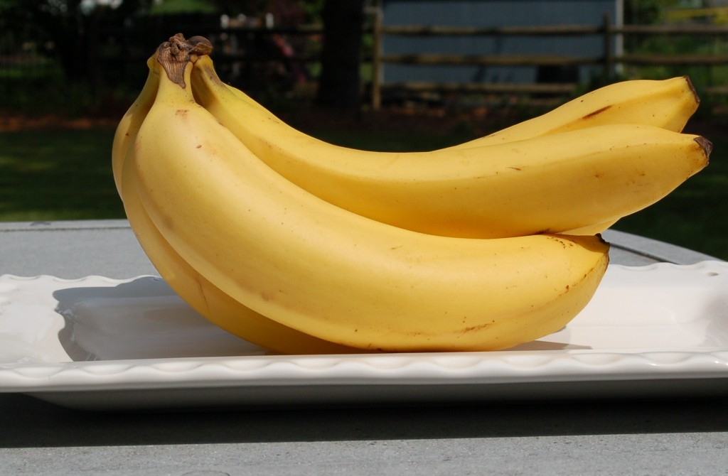 Bananas to America in 1876 » Celebrate and Learn