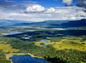 Alaskan Lakes and Forest